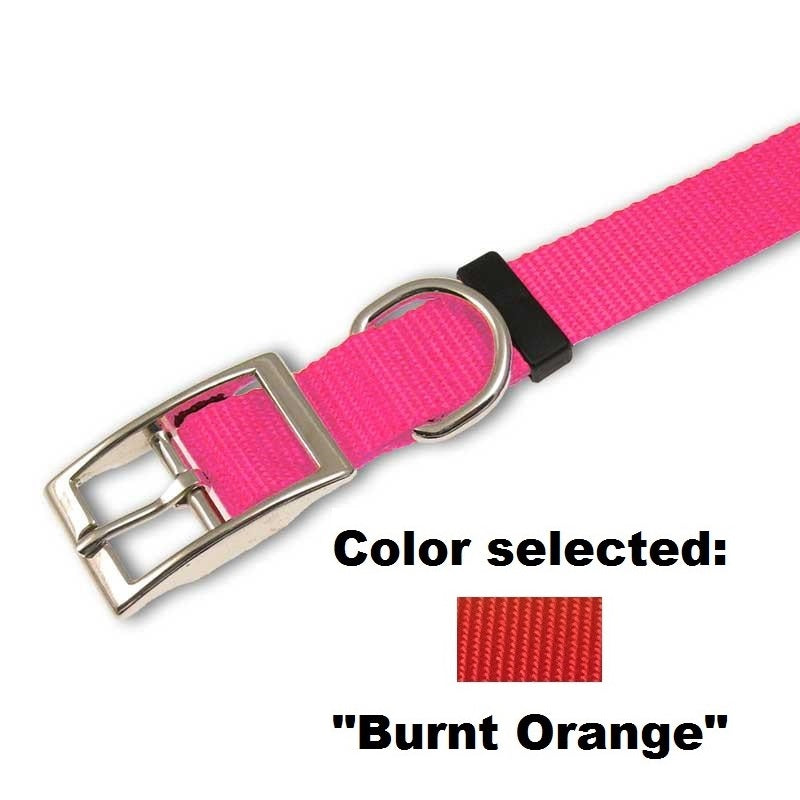 Traditional Dog Collar - 1" Width, - Lucky Pet